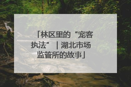 林区里的“宠客执法”｜湖北市场监管所的故事