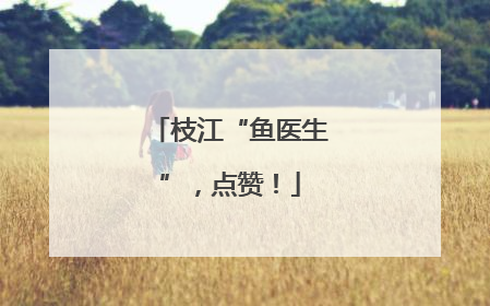 枝江“鱼医生”，点赞！