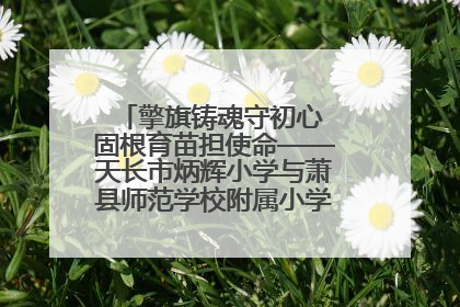 擎旗铸魂守初心 固根育苗担使命——天长市炳辉小学与萧县师范学校附属小学结对共建活动纪实
