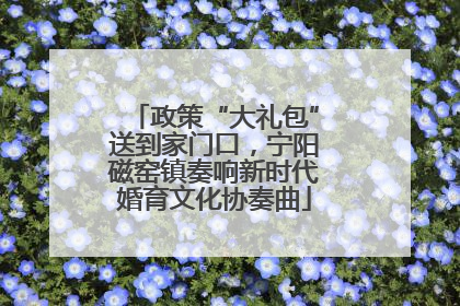 政策“大礼包”送到家门口，宁阳磁窑镇奏响新时代婚育文化协奏曲