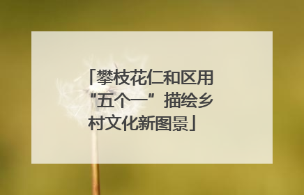 攀枝花仁和区用“五个一”描绘乡村文化新图景