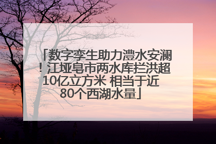 数字孪生助力澧水安澜！江垭皂市两水库拦洪超10亿立方米 相当于近80个西湖水量
