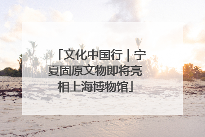 文化中国行｜宁夏固原文物即将亮相上海博物馆