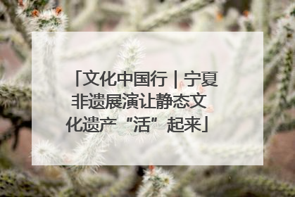 文化中国行｜宁夏 非遗展演让静态文化遗产“活”起来
