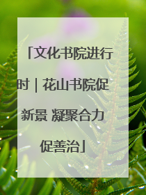 文化书院进行时｜花山书院促新景 凝聚合力促善治