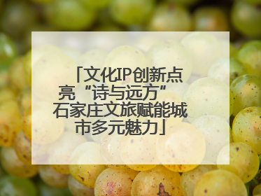 文化IP创新点亮“诗与远方” 石家庄文旅赋能城市多元魅力