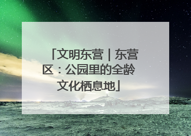 文明东营｜东营区：公园里的全龄文化栖息地