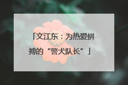 文江东：为热爱拼搏的“警犬队长”