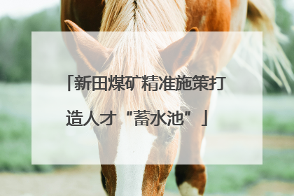 新田煤矿精准施策打造人才“蓄水池”