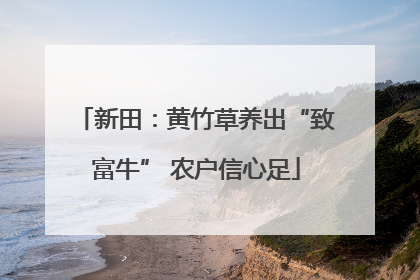 新田：黄竹草养出“致富牛” 农户信心足