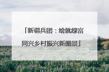 新疆兵团：绘就绿富同兴乡村振兴新图景