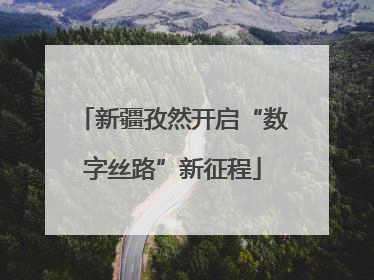新疆孜然开启“数字丝路”新征程