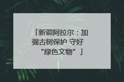 新疆阿拉尔：加强古树保护 守好“绿色文物”