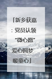 新乡获嘉：党员认领“微心愿” 爱心圆梦暖童心