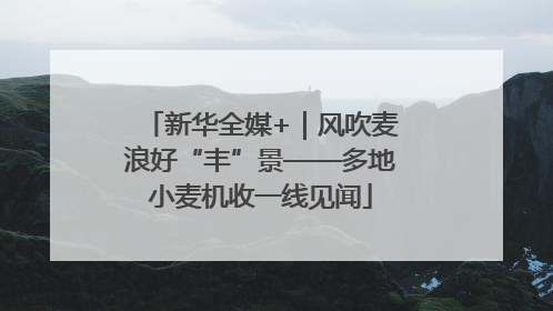 新华全媒+｜风吹麦浪好“丰”景——多地小麦机收一线见闻