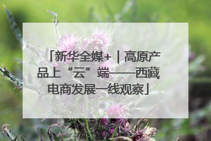 新华全媒+｜高原产品上“云”端——西藏电商发展一线观察