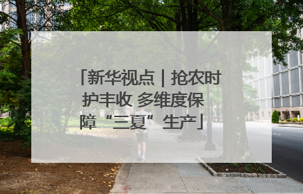 新华视点｜抢农时 护丰收 多维度保障“三夏”生产