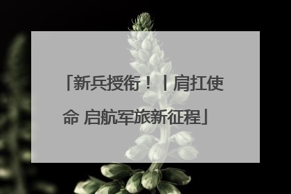 新兵授衔！丨肩扛使命 启航军旅新征程