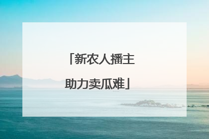 新农人播主 助力卖瓜难