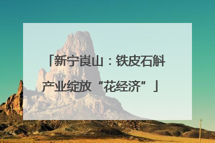 新宁崀山：铁皮石斛产业绽放“花经济”