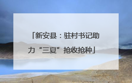 新安县：驻村书记助力“三夏”抢收抢种