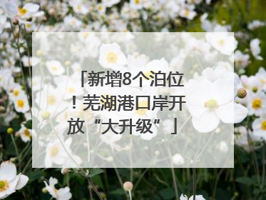 新增8个泊位！芜湖港口岸开放“大升级”