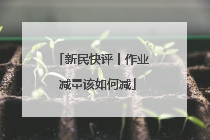 新民快评丨作业减量该如何减