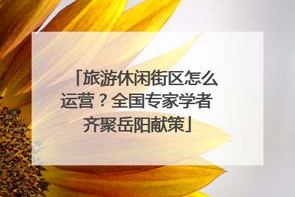旅游休闲街区怎么运营？全国专家学者齐聚岳阳献策