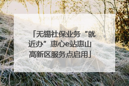 无锡社保业务“就近办”惠心e站惠山高新区服务点启用