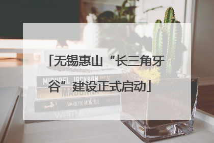 无锡惠山“长三角牙谷”建设正式启动