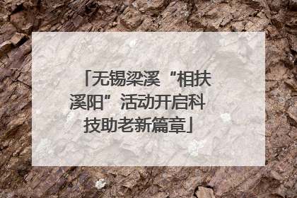 无锡梁溪“相扶溪阳”活动开启科技助老新篇章