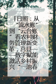 日照：从“流水账”到“云台账”看农村财务管理新变革，莒县——数字赋能激活乡村振兴“一池春水”