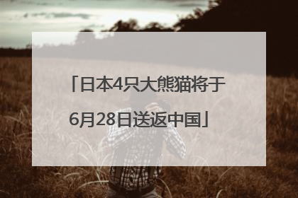 日本4只大熊猫将于6月28日送返中国