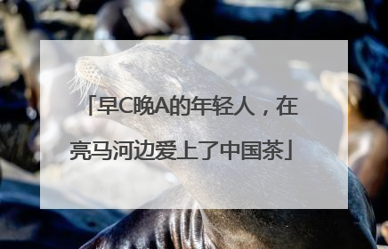 早C晚A的年轻人，在亮马河边爱上了中国茶
