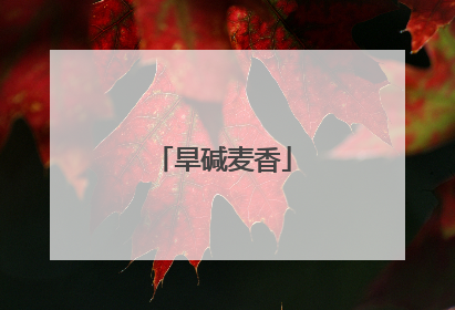 旱碱麦香