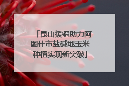 昆山援疆助力阿图什市盐碱地玉米种植实现新突破