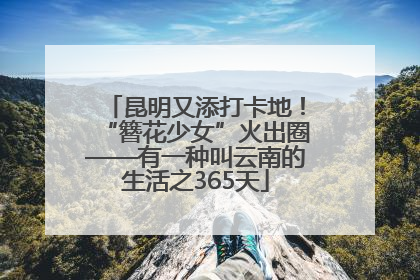 昆明又添打卡地！“簪花少女”火出圈——有一种叫云南的生活之365天