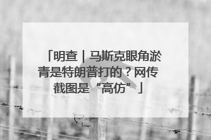 明查｜马斯克眼角淤青是特朗普打的？网传截图是“高仿”