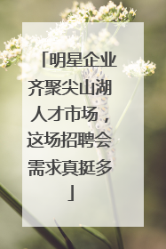 明星企业齐聚尖山湖人才市场，这场招聘会需求真挺多