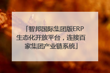 智邦国际集团版ERP生态化开放平台，连接百家集团产业链系统