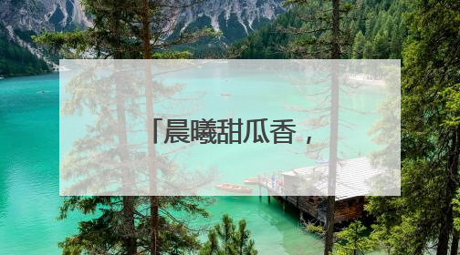 晨曦甜瓜香，彭集绘就乡村振兴“金”画卷