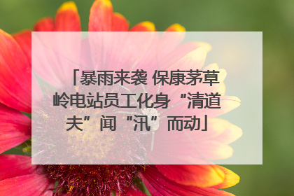 暴雨来袭 保康茅草岭电站员工化身“清道夫”闻“汛”而动