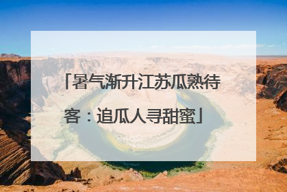 暑气渐升江苏瓜熟待客：追瓜人寻甜蜜