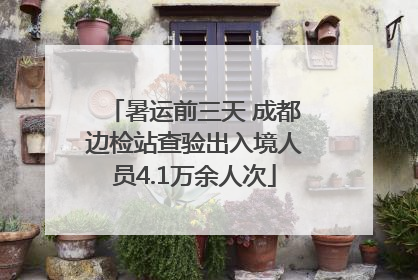暑运前三天 成都边检站查验出入境人员4.1万余人次