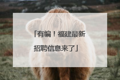 有编！福建最新招聘信息来了