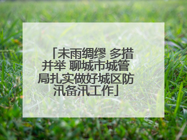 未雨绸缪 多措并举 聊城市城管局扎实做好城区防汛备汛工作