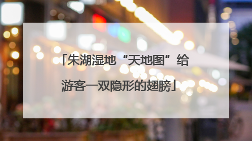 朱湖湿地“天地图”给游客一双隐形的翅膀