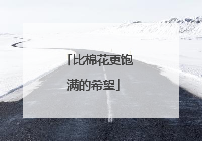 比棉花更饱满的希望
