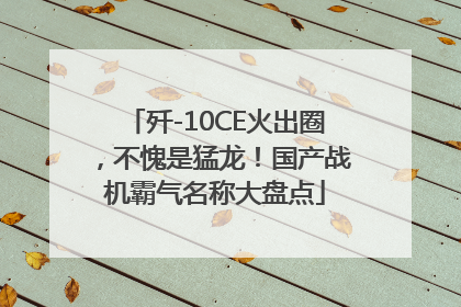 歼-10CE火出圈，不愧是猛龙！国产战机霸气名称大盘点