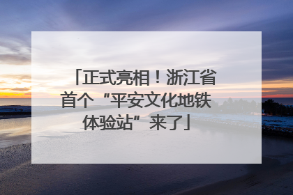 正式亮相！浙江省首个“平安文化地铁体验站”来了